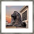 Trafalgar Square Lion Nelsons Column And National Gallery Framed Print