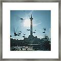 Trafalgar Square Pigeons Framed Print