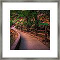 Trail Into The Narrows Framed Print
