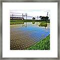 Train Passing By A Rice Field In Rural Framed Print