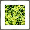 Transitions With Yellow, Green And Blue Framed Print