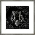 Trapped Framed Print