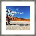 Tree And Shadow In Deadvlei, Namibia Framed Print