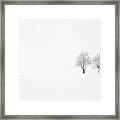 Tree And Silence Framed Print