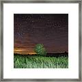 Tree And Starry Night Framed Print
