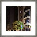 Tree At Night Framed Print