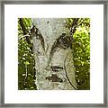 Tree Face Framed Print