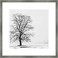 Tree In Blizzard I Framed Print