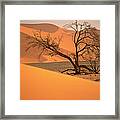 Tree In Namibia Desert, Namibia, Africa Framed Print