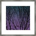 Tree Silhouette Against Blue And Purple Framed Print