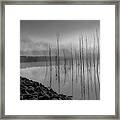 Trees Emerge At Dawn Bw Framed Print