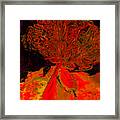 Trees Of A Different Color No.6 Framed Print