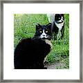Trio In The Grass Framed Print