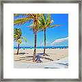 Tropical Beach Framed Print