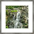 Tropical Rainforest And Waterfall Framed Print