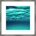 Tropical Sea Framed Print