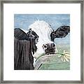 Trouble, Cow Painting Framed Print
