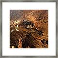 Tuckaleechee Caverns Big Room Stalagmites Framed Print