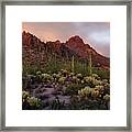 Tucson Mountains Sunset Framed Print