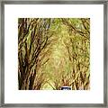 Tunnel Of Trees And Golf Carts Framed Print