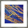 Tussah Silk Fibres Framed Print