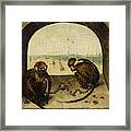 Two Chained Monkeys, 1562 Framed Print