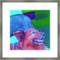 Two Cool Dogs Framed Print