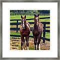 Two Friends With Proverbs 18 Vs 24 Framed Print