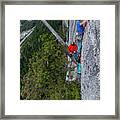 Two Men Rock Climbing While Belaying From Hanging Tree On Exposed Wall Framed Print