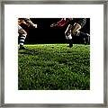 Two Opposing Rugby Players, One Holding Framed Print