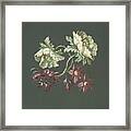 Two Roses And Two Small Flowers Framed Print