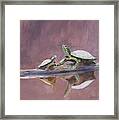 Two Turtles Framed Print