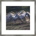 Two-year-olds In A Gallop Framed Print