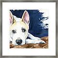 Ty Dog Portrait Framed Print