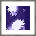 Ultra Violet Pine Cones Framed Print