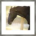 Unbridled Framed Print