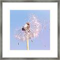 Under The Blue Sky Framed Print