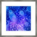 Underwater Art : Jellyfish Framed Print