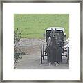 Unhitching The Horse Framed Print