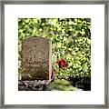 Unknown Confederate Soldier Framed Print