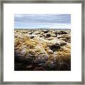 Unusual Iceland Landscape With Lava Framed Print