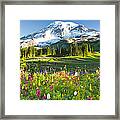 Usa, Washington, Mt. Rainier National Framed Print