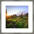 Usa, Washington State, Mt Rainier Framed Print