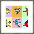Various Birds In Squares Framed Print