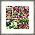 Vegetables - Radish Carrots Cauliflower Framed Print
