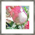 Vertical Pink Rose Abstract Framed Print