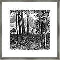 View In Claremont Park, Surrey, 1900 Framed Print