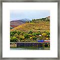 View Of Vineyards And Train Close Framed Print