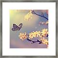 Vintage Butterfly And Cherry Tree Framed Print