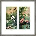 Vintage Paintings Egrets And Flamingos 1 Framed Print